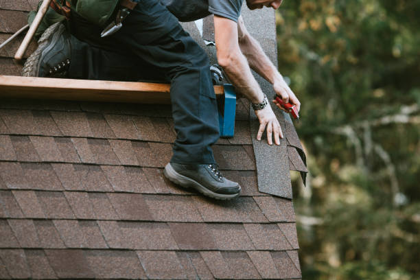Best New Roof Installation  in Bon Aqua Junction, TN